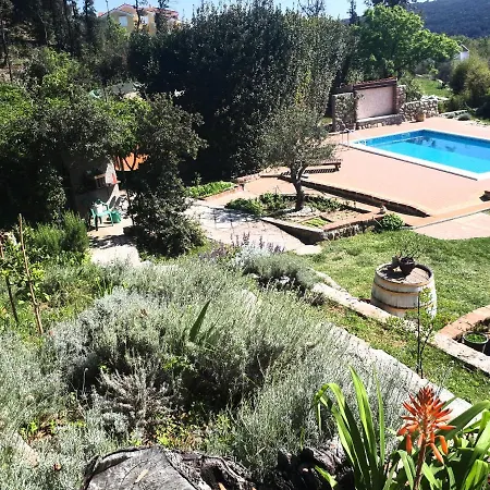 Family-friendly With Swimming Pool - Rab - 15518 Lejlighed